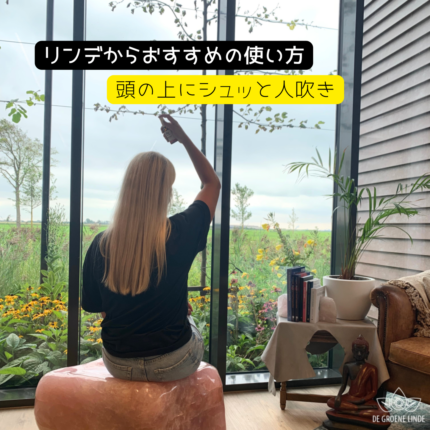 Clean Energy(クリーンエナジー)アロマミスト|日常の空間を整える香り