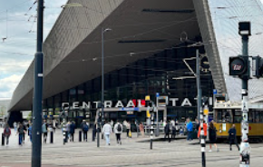 HSPアロマ「Protection」との出会い｜香りが教えてくれた私の状態