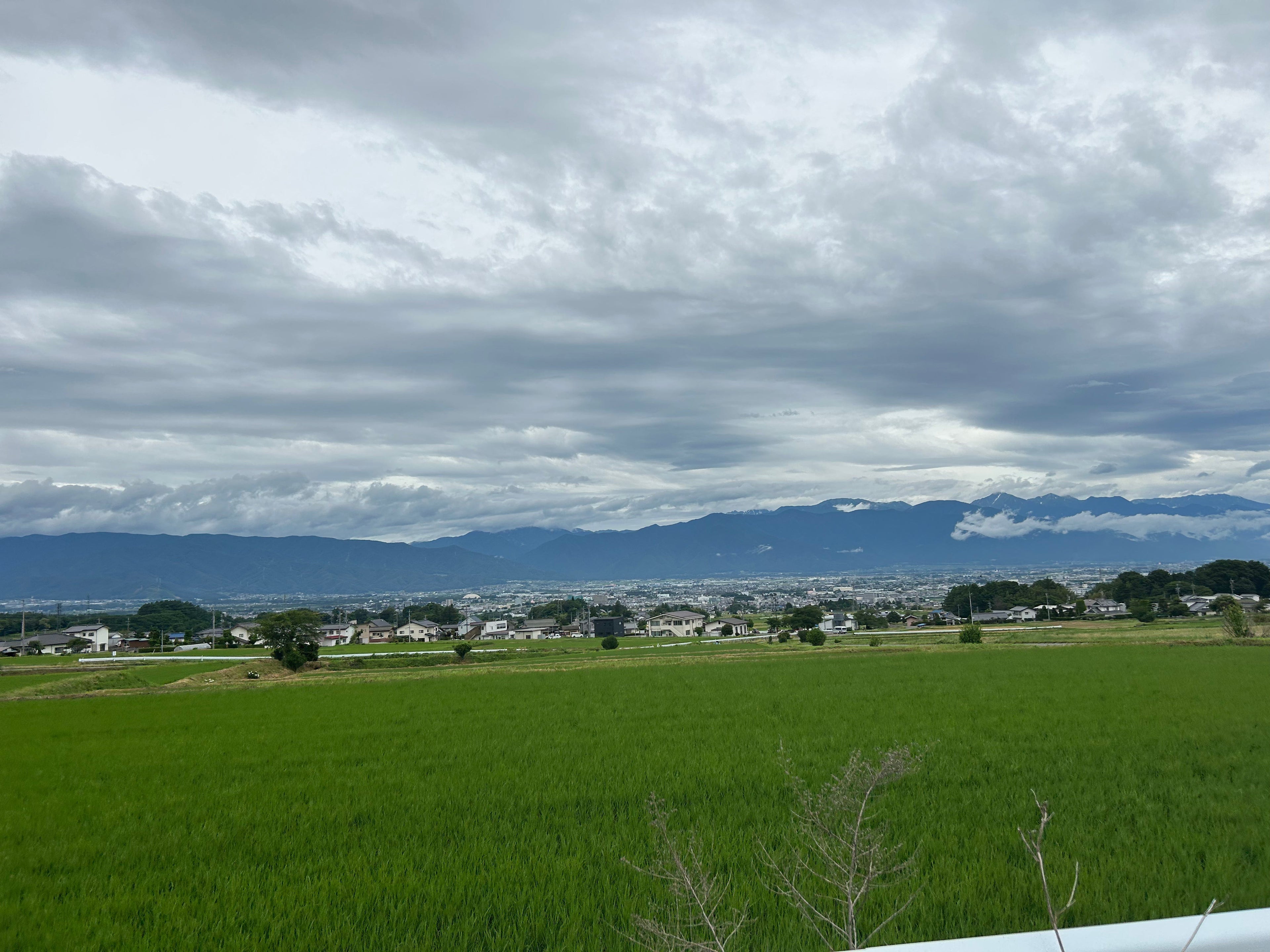 言葉にできなかった想いと向き合う香り「Speak」