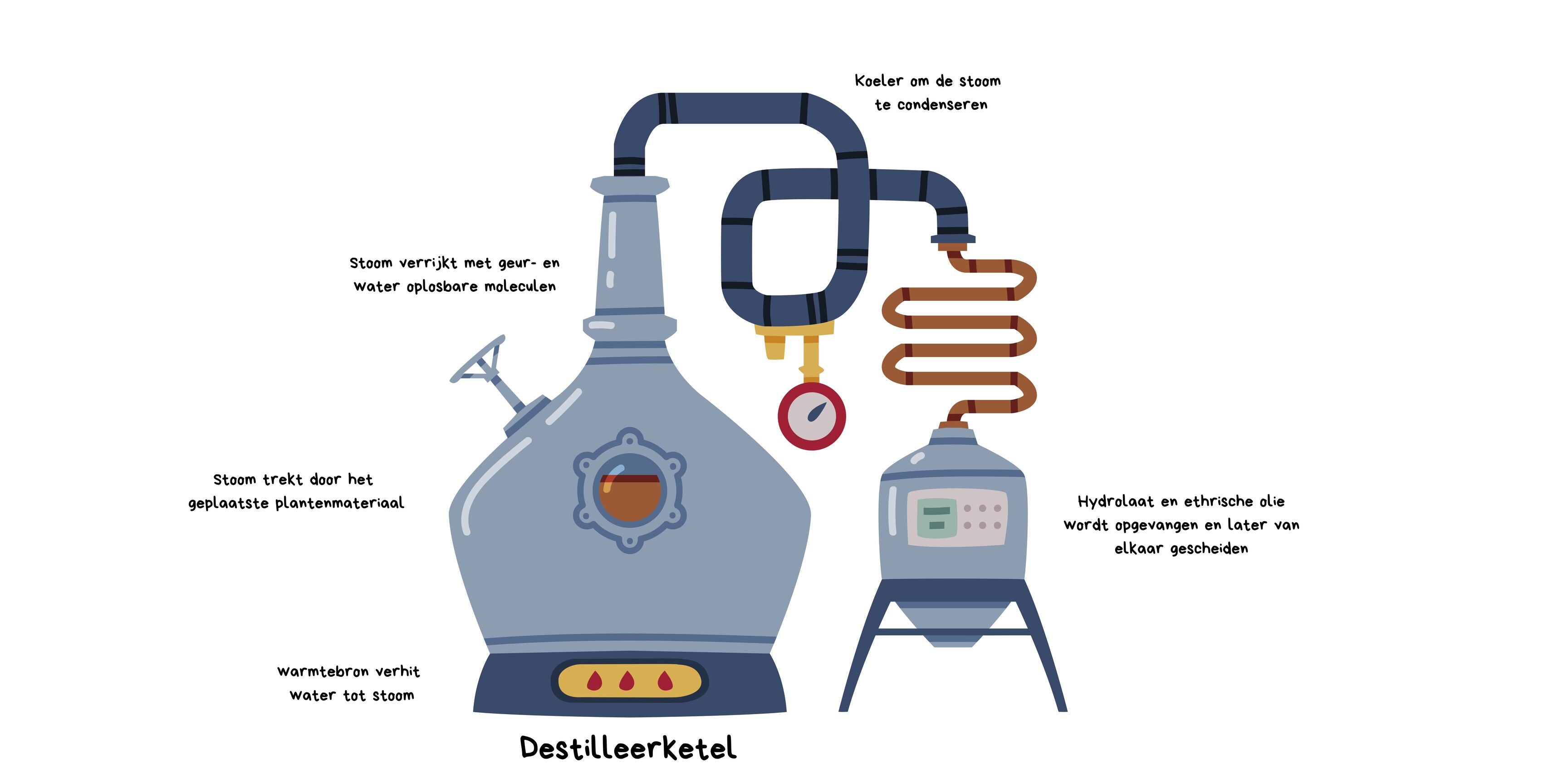 エッセンシャルオイルの作り方｜香りの抽出方法と5つの製法
