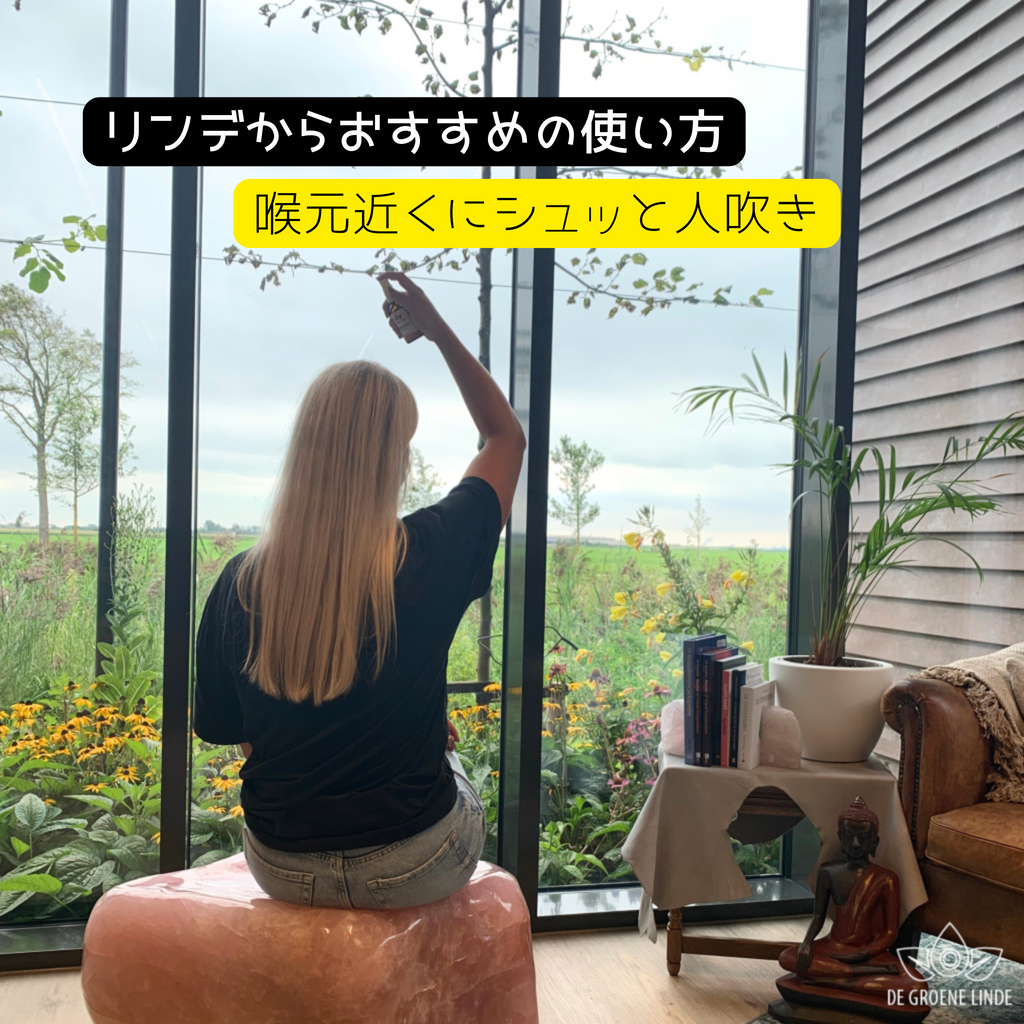 言いたかったことをやさしく解き放つSpeakの使用シーン – FUUKA