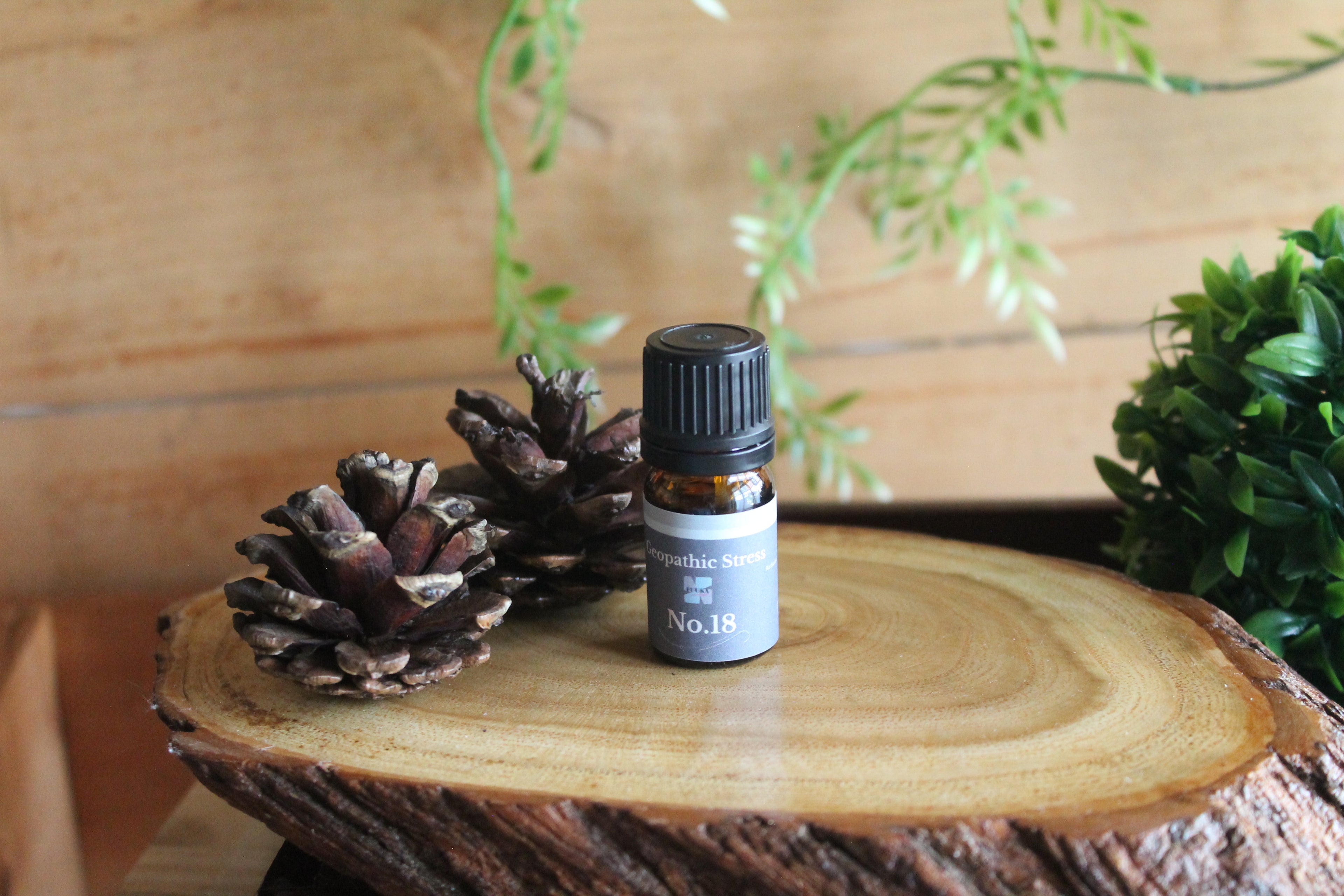 地球由来の影響をやわらげる香り｜Geopathic Stress アロマ